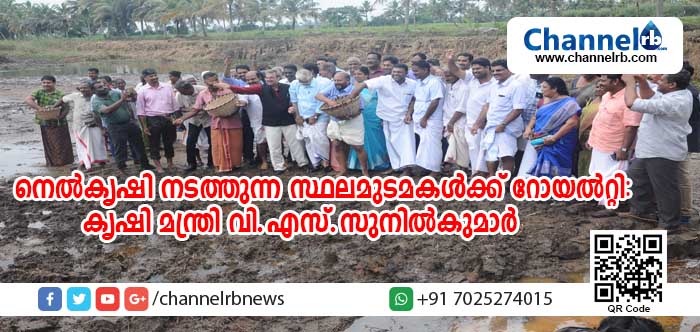 You are currently viewing നെല്‍കൃഷി നടത്തുന്ന സ്ഥലമുടമകള്‍ക്ക് റോയല്‍റ്റി നല്‍കുമെന്ന് കൃഷിമന്ത്രി; മെത്രാന്‍ കായല്‍ പ്രദേശത്ത് കൃഷി അല്ലാതെ മറ്റൊരു പ്രവൃത്തിയും അനുവദിക്കില്ലെന്ന് മന്ത്രി
