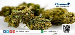 Read more about the article നാല് കിലോ കഞ്ചാവുമായി മലയാളി അറസ്റ്റില്‍; പിടികൂടിയത് മംഗളൂരുവില്‍ നിന്ന് വിമാനമാര്‍ഗം ബഹ്റൈനിലേക്ക് കടത്താന്‍ ശ്രമിക്കവേ