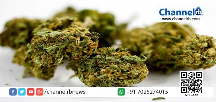 You are currently viewing നാല് കിലോ കഞ്ചാവുമായി മലയാളി അറസ്റ്റില്‍; പിടികൂടിയത് മംഗളൂരുവില്‍ നിന്ന് വിമാനമാര്‍ഗം ബഹ്റൈനിലേക്ക് കടത്താന്‍ ശ്രമിക്കവേ