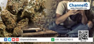 Read more about the article മാതാവ് കഞ്ചാവ് കൊടുത്തയച്ചത് പ്രായപൂർത്തിയാവാത്ത മകന്റെ സ്‌കൂൾ ബാഗിൽ; രണ്ട് കിലോ കഞ്ചാവുമായി പതിനേഴുകാരൻ പോലീസ് പിടിയിൽ