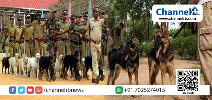 You are currently viewing കുറ്റവാളികള്‍ ജാഗ്രതൈ…കൊലപാതക കേസുകള്‍ക്കും കളവുകള്‍ക്കും തെളിവുണ്ടാക്കാന്‍ അന്നയും അര്‍ജ്ജുനും കൊല്ലത്തെത്തി