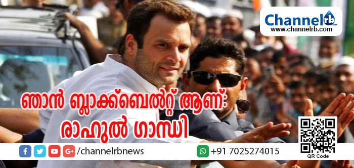 You are currently viewing ഞാന്‍ ഒരുബ്ലാക്ക്‌ ബെല്‍റ്റ് ആണ്; വിവാഹം നടക്കേണ്ട സമയത്ത് അത് സംഭവിക്കുമെന്ന് രാഹുല്‍ ഗാന്ധി