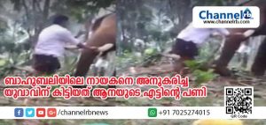 Read more about the article ബ്രഹ്മാണ്ഡ ചിത്രം ബാഹുബലിയിലെ നായകനെ അനുകരിച്ച യുവാവിന് കിട്ടിയത് എട്ടിന്റെ പണി; തുമ്പിക്കൈയില്‍ ചവിട്ടി ആനപ്പുറത്ത് കേറാന്‍ ശ്രമിക്കവേ ആന പഞ്ഞിക്കിട്ടു; വിഡിയോ കാണാം