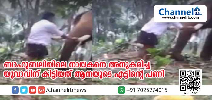 Read more about the article ബ്രഹ്മാണ്ഡ ചിത്രം ബാഹുബലിയിലെ നായകനെ അനുകരിച്ച യുവാവിന് കിട്ടിയത് എട്ടിന്റെ പണി; തുമ്പിക്കൈയില്‍ ചവിട്ടി ആനപ്പുറത്ത് കേറാന്‍ ശ്രമിക്കവേ ആന പഞ്ഞിക്കിട്ടു; വിഡിയോ കാണാം