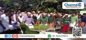 Read more about the article തനത് കാര്‍ഷിക സംസ്‌കൃതി തിരിച്ചു പിടിക്കാന്‍ തെയ്യംകെട്ട് മഹോത്സവ കമ്മിറ്റി; തുളിച്ചേരി വയലിലെ ഞാറ് നടീല്‍ ഉത്സവത്തിന്  കൃഷിമന്ത്രിയുമെത്തിയപ്പോള്‍