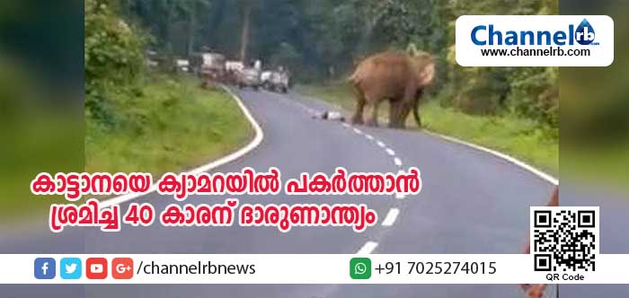 You are currently viewing കാട്ടാനയെ ക്യാമറയില്‍ പകര്‍ത്താന്‍ ശ്രമിച്ച 40 കാരന് ദാരുണാന്ത്യം; വിഡിയോ കാണാം