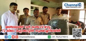 Read more about the article മഞ്ചേശ്വരത്ത് വന്‍ കഞ്ചാവ് വേട്ട; ആളൊഴിഞ്ഞ പറമ്പില്‍ സൂക്ഷിച്ച 72 കിലോ പോലിസ് കണ്ടെത്തി