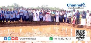 Read more about the article നെല്‍കൃഷിയെ തിരിച്ചുപിടിക്കണം; ചട്ടഞ്ചാലിലെ വിദ്യാര്‍ഥികള്‍ തരിശുപാടത്ത് തൊണ്ണൂറാന്‍ വിത്തിട്ട് കൃഷി തുടങ്ങി