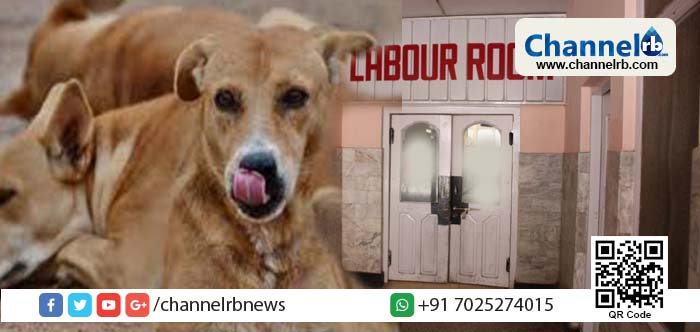 You are currently viewing പ്രസവ വാര്‍ഡില്‍ നിന്ന് കുട്ടിയുടെ ശരീരം തെരുവ് നായ കടിച്ചു കൊണ്ട് പോയി; സംഭവം നടന്നത് ഉത്തര്‍പ്രദേശിലെ സര്‍ക്കാര്‍ ആശുപത്രിയില്‍