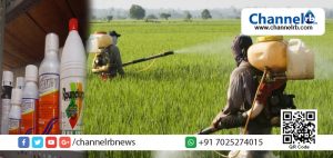 Read more about the article നിരോധിച്ച കീടനാശിനികള്‍ അയല്‍ സംസ്ഥാനത്തില്‍ നിന്നും കടത്തി കൊണ്ടുവരുന്നത് നിയന്ത്രിക്കാന്‍ നടപടി വരുന്നു; കൃഷിവകുപ്പ് ഗുണനിലവാര എന്‍ഫോഴ്‌സ്‌മെന്റ് വിങ്ങ് കാമ്പയിന്‍ ആരംഭിക്കും