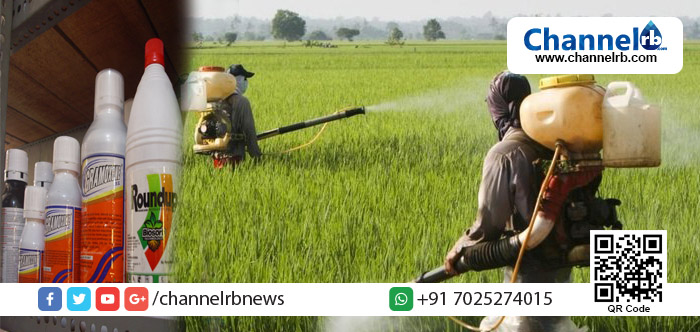 You are currently viewing നിരോധിച്ച കീടനാശിനികള്‍ അയല്‍ സംസ്ഥാനത്തില്‍ നിന്നും കടത്തി കൊണ്ടുവരുന്നത് നിയന്ത്രിക്കാന്‍ നടപടി വരുന്നു; കൃഷിവകുപ്പ് ഗുണനിലവാര എന്‍ഫോഴ്‌സ്‌മെന്റ് വിങ്ങ് കാമ്പയിന്‍ ആരംഭിക്കും