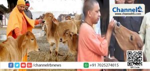 Read more about the article പ​ശു​ക്ക​ളോ​ടു ക്രൂ​ര​ത കാ​ട്ടാ​ൻ ആ​രെ​ങ്കി​ലും മു​തി​ർ​ന്നാ​ൽ അ​വ​ർ തു​റു​ങ്കി​ല​ട​യ്ക്ക​പ്പെടും: യോഗി ആദിത്യനാഥ്‌