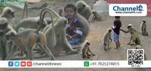 Read more about the article പതിനെട്ട് മാസം പ്രായമായ ഈ കുട്ടിയും കുരങ്ങുകളും തമ്മിലുള്ള സൗഹൃദം കണ്ടാല്‍ ആരും അല്‍ഭുതപ്പെട്ടുപോകും; വിഡിയോ കാണാം