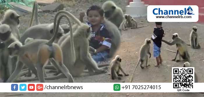 You are currently viewing പതിനെട്ട് മാസം പ്രായമായ ഈ കുട്ടിയും കുരങ്ങുകളും തമ്മിലുള്ള സൗഹൃദം കണ്ടാല്‍ ആരും അല്‍ഭുതപ്പെട്ടുപോകും; വിഡിയോ കാണാം