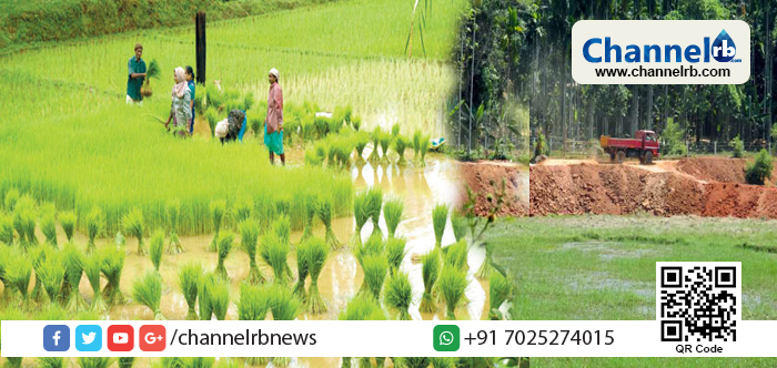 You are currently viewing നെല്‍വയല്‍ നികത്തുന്നത് ഇനിമുതൽ ജാമ്യമില്ലാ കുറ്റം; തരിശ് നിലം ഏറ്റെടുത്ത് കൃഷിയിറക്കാന്‍ പഞ്ചായത്തുകള്‍ക്ക് അധികാരം നല്‍കും; നെല്‍വയല്‍ നീര്‍ത്തട സംരക്ഷണ നിയമം അടുത്ത മന്ത്രിസഭായോഗത്തിൽ