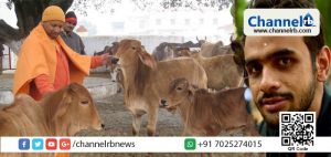 Read more about the article “ഒരു ബോട്ടില്‍ ഗോമൂത്രം തന്ന് താങ്കളെ അനുഗ്രഹിക്കട്ടെ ” ജെ.എന്‍.യുവിലെ വിദ്യാര്‍ത്ഥി നേതാവ് ഉമര്‍ ഖാലിദ് യു.പി മുഖ്യമന്ത്രിക്ക് അയച്ച ക്രിസ്മസ് ആശംസ വൈറല്‍ ആകുന്നു