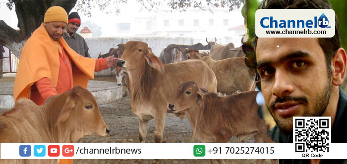 You are currently viewing “ഒരു ബോട്ടില്‍ ഗോമൂത്രം തന്ന് താങ്കളെ അനുഗ്രഹിക്കട്ടെ ” ജെ.എന്‍.യുവിലെ വിദ്യാര്‍ത്ഥി നേതാവ് ഉമര്‍ ഖാലിദ് യു.പി മുഖ്യമന്ത്രിക്ക് അയച്ച ക്രിസ്മസ് ആശംസ വൈറല്‍ ആകുന്നു