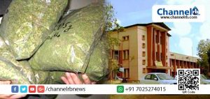 Read more about the article കലാലയങ്ങളിലേക്ക് കഞ്ചാവ് കടത്തുന്നത് കുട്ടിനേതാക്കള്‍ തന്നെ; കാസര്‍കോട് ഗവ. കോളേജിലെ വിദ്യാര്‍ഥിയില്‍നിന്ന് പിടികൂടിയത് രണ്ടുകിലോ കഞ്ചാവ്