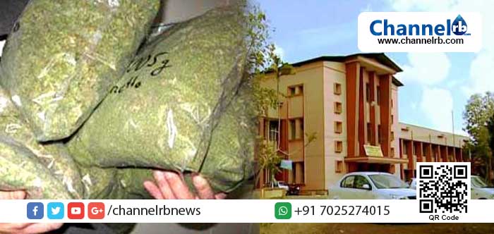 You are currently viewing കലാലയങ്ങളിലേക്ക് കഞ്ചാവ് കടത്തുന്നത് കുട്ടിനേതാക്കള്‍ തന്നെ; കാസര്‍കോട് ഗവ. കോളേജിലെ വിദ്യാര്‍ഥിയില്‍നിന്ന് പിടികൂടിയത് രണ്ടുകിലോ കഞ്ചാവ്