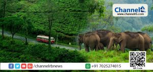 Read more about the article മകരജ്യോതി; ആങ്ങമൂഴി, കൊച്ചുപമ്പ,വള്ളക്കടവ് ചെക്ക് പോസ്റ്റിലൂടെ ഗവിയിലേക്കുള്ള വിനോദയാത്ര നിരോധിച്ചു