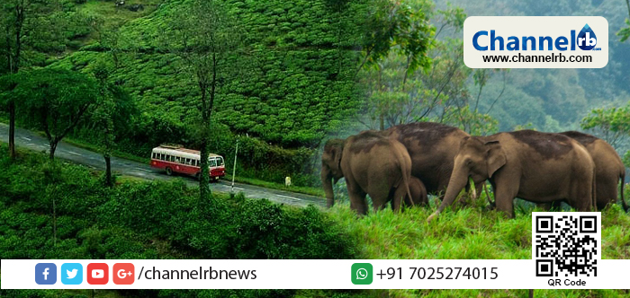 You are currently viewing മകരജ്യോതി; ആങ്ങമൂഴി, കൊച്ചുപമ്പ,വള്ളക്കടവ് ചെക്ക് പോസ്റ്റിലൂടെ ഗവിയിലേക്കുള്ള വിനോദയാത്ര നിരോധിച്ചു