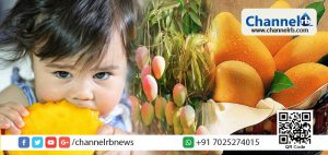 Read more about the article ഫലങ്ങളുടെ രാജാവ് എന്നറിയപ്പെടുന്ന മാമ്പഴത്തിന്റെ ഗുണങ്ങള്‍ അറിയാന്‍ വായിക്കൂ