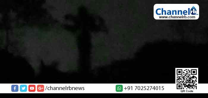 Read more about the article ക്ഷേത്രത്തിന്റെ പുനഃപ്രതിഷ്ഠ ചടങ്ങുകള്‍ നടക്കുമ്പോള്‍ തെങ്ങിന്റെ മുകളില്‍ ദേവി; കോതമംഗലം ഇളങ്കാവ് ദേവിക്ഷേത്രത്തിലെ അത്ഭുതമെന്താണ്?