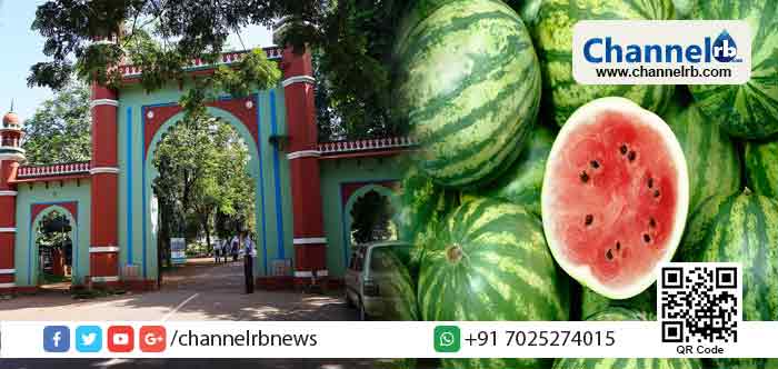 You are currently viewing ‘വത്തക്ക’ പരാമര്‍ശം; ഫാറൂഖില്‍ ഇന്ന് വിദ്യാര്‍ത്ഥി പ്രതിഷേധം