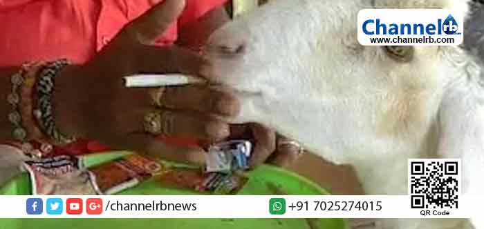 You are currently viewing പുകവലി പലരുടെയും ഒരു വീക്ക്നസ് ആണ്; എന്നാല്‍ അത് വീക്കനസ് ആക്കിയ ആടിനെക്കുറിച്ച് അറിയാന്‍ ആഗ്രഹമുണ്ടോ?