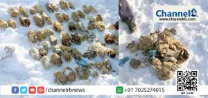 Read more about the article തടാക കരയിലെ പ്ലാസ്റ്റിക് ബാഗില്‍ നിന്നും കണ്ടെടുത്തത് മുറിച്ചു മാറ്റിയ 54 കൈപ്പത്തികള്‍; അന്വേഷണത്തിന് ഉത്തരവിട്ട് റഷ്യ