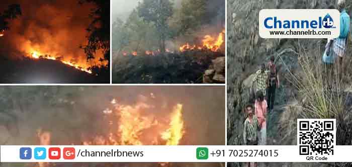 You are currently viewing തേനിയിൽ കുരങ്ങിണി – കൊളുക്ക് മലയില്‍ വന്‍ കാട്ടുതീ; എട്ട് പേ‍ർ മരിച്ചു; ട്രക്കിങിന് പോയ 36അംഗ സംഘം വനത്തിനുള്ളിൽ കുടുങ്ങി