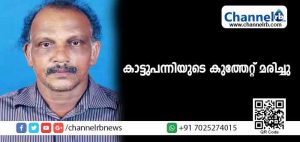Read more about the article കാസര്‍കോട്   ബളാലില്‍ പഞ്ചായത്തംഗത്തിന്റെ ഭര്‍ത്താവ് കാട്ടുപന്നിയുടെ കുത്തേറ്റ് മരിച്ചു