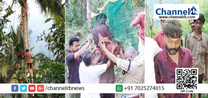 Read more about the article എനിക്ക് ഉടന്‍ വിവാഹം കഴിക്കണമെന്ന് മകന്‍; നിനക്കതിനുള്ള പ്രായമായില്ലെന്ന് മാതാവും; ഒടുവില്‍ മകന്‍ ചെയ്തത പ്രവര്‍ത്തി കണ്ട നാട്ടുകാര്‍ അമ്പരന്നു