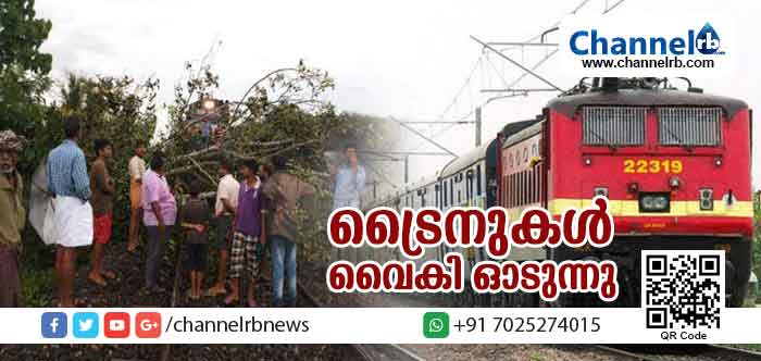 You are currently viewing ശക്തമായ കാറ്റില്‍ മയ്യനാട്ട് റെയില്‍വേ വൈദ്യുത ലൈനിന് മുകളിലേക്ക് മരം വീണു; മംഗളൂരുവിലേക്കുള്ള ട്രെയിനുകളെല്ലാം മണിക്കൂറോളം വൈകി ഓടുന്നു