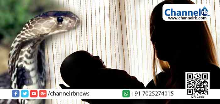 Read more about the article പാമ്പ് കടിച്ചതറിയാതെ അമ്മ കുഞ്ഞിനെ മുലയൂട്ടി; മിനുട്ടുകള്‍ക്ക് ശേഷം മാതാവിനും കുട്ടിക്കും സംഭവിച്ചത്