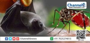 Read more about the article കോഴിക്കോട്ട് നിപയെങ്കില്‍ കാസര്‍കോട്ടും തൃശൂരിലും ഡെങ്കിപ്പനി പടരുന്നു; ആരോഗ്യവകുപ്പ് അനാസ്ഥകാട്ടുന്നതായി ആരോപണം