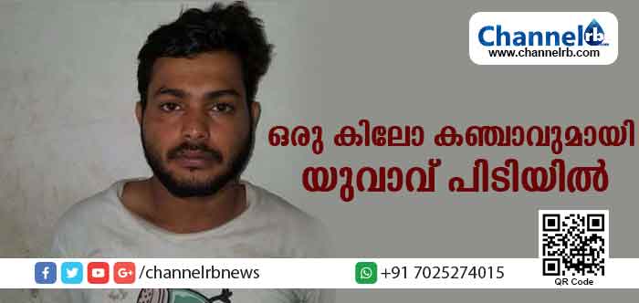 Read more about the article വില്‍പനയ്ക്കായ് കൊണ്ടുവന്ന ഒരുകിലോ കഞ്ചാവുമായി യുവാവ് അറസ്റ്റില്‍; ഇടപാടുകാരനും പിടിയില്‍