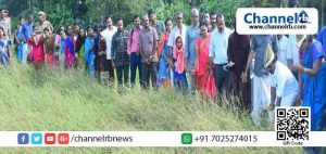 Read more about the article കാരാട്ട് വയലിലെ കൊയ്ത്തുത്സവം മന്ത്രി ഇ.ചന്ദ്രശേഖരന്‍ ഉദ്ഘാടനം ചെയ്തു