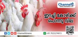 Read more about the article ധനമന്ത്രി തോമസ് ഐസക്കിൻ്റെ  പ്രഖ്യാപനം പാഴ്വാക്കായി; കോഴിയിറച്ചി വില കിലോഗ്രാമിന് 200 രൂപ കടക്കുന്നു; പലേടത്തും തോന്നിയ വില