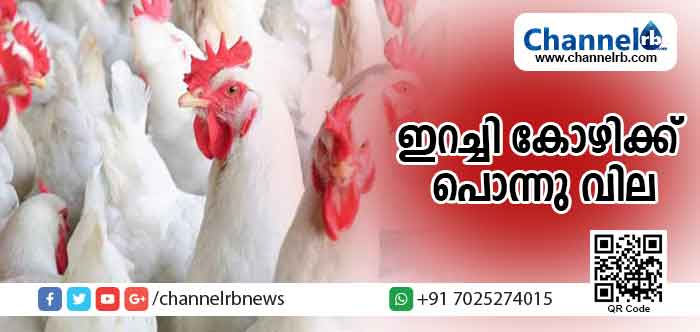 You are currently viewing ധനമന്ത്രി തോമസ് ഐസക്കിൻ്റെ  പ്രഖ്യാപനം പാഴ്വാക്കായി; കോഴിയിറച്ചി വില കിലോഗ്രാമിന് 200 രൂപ കടക്കുന്നു; പലേടത്തും തോന്നിയ വില