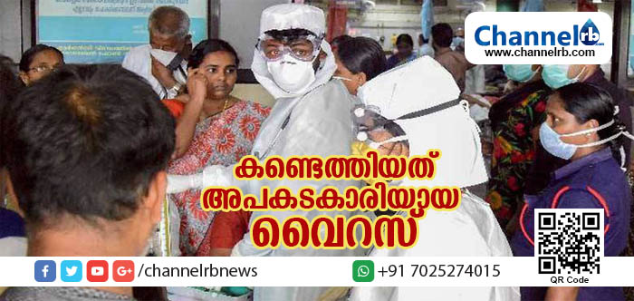 You are currently viewing കണ്ടെത്തിയത് അപകടകാരിയായ മനുഷ്യനില്‍ നിന്ന് മനുഷ്യനിലേക്ക് പകരുന്ന നിപ വൈറസ്; മലേഷ്യയില്‍ കണ്ടെത്തിയതിനേക്കാള്‍ ഭീകരമെന്ന് ആരോഗ്യമന്ത്രി