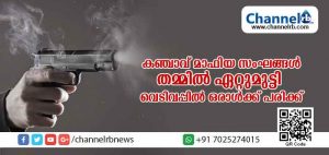 Read more about the article പാലക്കുന്നില്‍ കഞ്ചാവ് മാഫിയ സംഘങ്ങള്‍ തമ്മില്‍ ഏറ്റുമുട്ടി; വെടിവപ്പില്‍ ഒരാള്‍ക്ക് പരിക്ക്