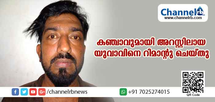 You are currently viewing കഞ്ചാവുമായി അറസ്റ്റിലായ യുവാവിനെ റിമാന്റു ചെയ്തു; പ്രതിക്കെതിരേ നേരത്തെയും നിരവധി കേസുകള്‍