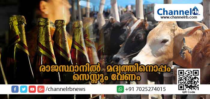 You are currently viewing രാജസ്ഥാനില്‍ മദ്യം വാങ്ങിക്കുമ്പോള്‍ പണം നല്‍കിയാല്‍ മാത്രം പോര; ഇനി മുതല്‍ പശു സെസ്സും നല്‍കണം