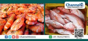 Read more about the article മൃതദേഹം കേടുകൂടാതെ സൂക്ഷിക്കാനായി ഉപയോഗിക്കുന്ന ഫോര്‍മാലിന്‍ മീനുകളില്‍ ഉപയോഗിക്കുന്നു; വിഷാംശം കണ്ടെത്താന്‍ ഫിഷറീസ് ടെക്നോളജി പരിശോധന കിറ്റ് വരുന്നു