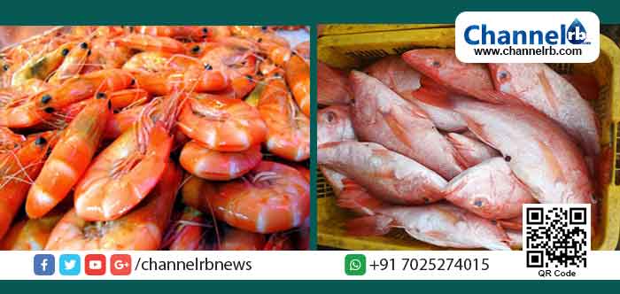 You are currently viewing മൃതദേഹം കേടുകൂടാതെ സൂക്ഷിക്കാനായി ഉപയോഗിക്കുന്ന ഫോര്‍മാലിന്‍ മീനുകളില്‍ ഉപയോഗിക്കുന്നു; വിഷാംശം കണ്ടെത്താന്‍ ഫിഷറീസ് ടെക്നോളജി പരിശോധന കിറ്റ് വരുന്നു