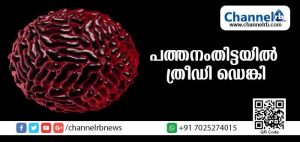 Read more about the article ടൈപ്പ് ത്രി ഡെങ്കി അടക്കമുള്ള പകര്‍ച്ചവ്യാധി പടരാന്‍ സാധ്യത; പത്തനം തിട്ട ജില്ലയില്‍ അതീവ ജാഗ്രതാ നിര്‍ദേശം