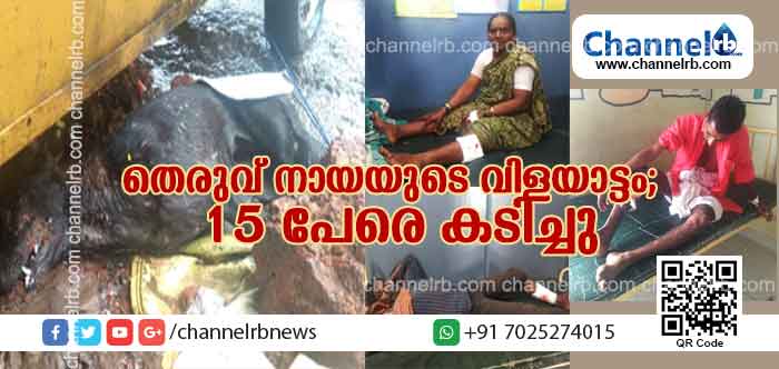 Read more about the article കാസര്‍കോട് നഗരത്തില്‍ തെരുവ് നായയുടെ വിളയാട്ടം; അന്യ സംസ്ഥാന തൊഴിലാളികളടക്കം 15 പേരെ കടിച്ചു; കടിച്ച നായയെ നാട്ടുകാര്‍ തല്ലിക്കൊന്നു