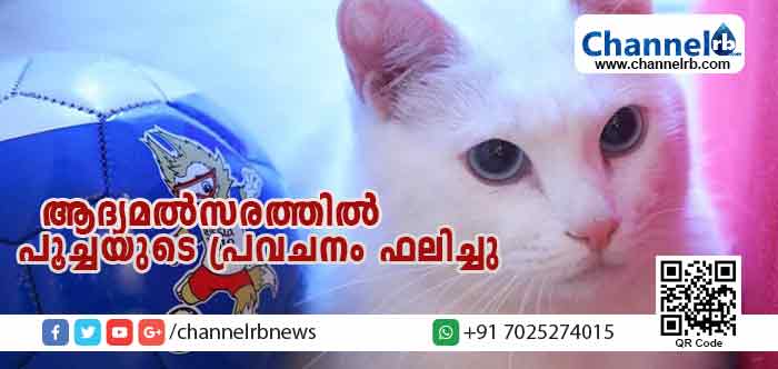You are currently viewing ആദ്യമല്‍സരത്തില്‍ റഷ്യ ജയിക്കുമെന്ന  പൂച്ചയുടെ പ്രവചനം ഫലിച്ചു; മത്സരം സമനിലയിലാകുമെന്ന കടുവയുടെ പ്രവചനം പാളി