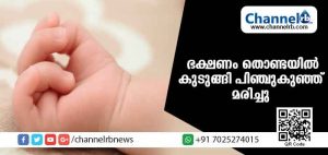 Read more about the article അമ്മ ആഹാരം നല്‍കുന്നതിനിടെ ശ്വാസതടസമുണ്ടായി ഒന്‍പത് മാസം പ്രായമുളള പിഞ്ചുകുഞ്ഞ് മരിച്ചു